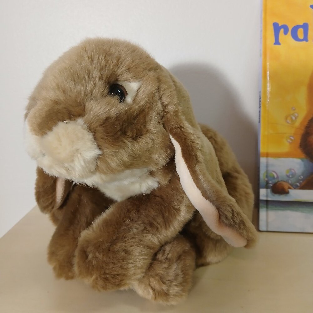 Rabbit Ears children's book with plush bunny - Picture 3 of 7